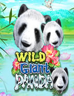 เติมเต็มความสนุกด้วยการสมัคร สมาชิก joker วันนี้